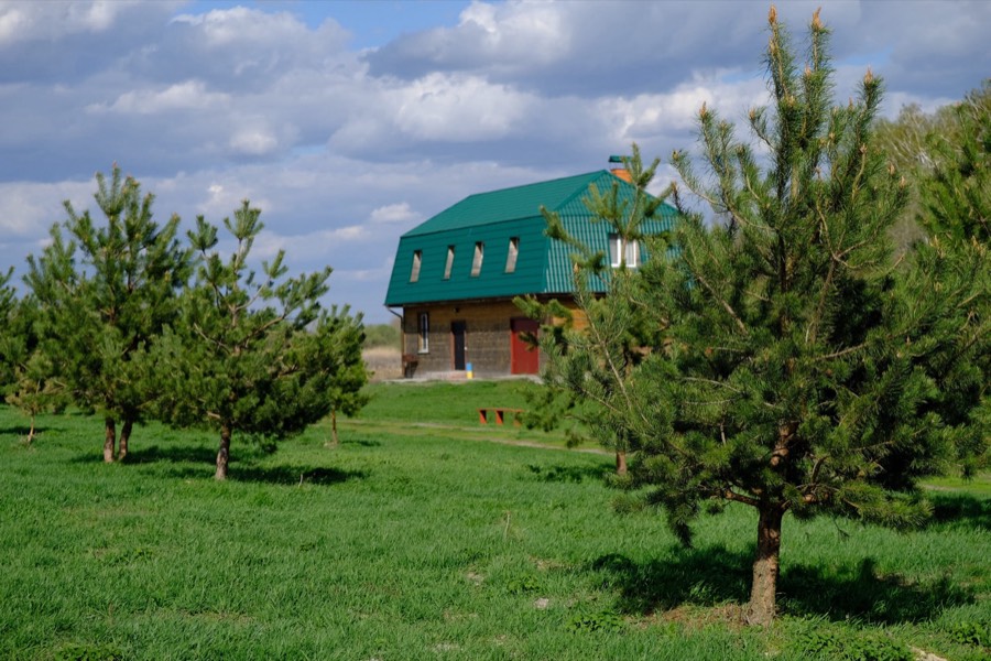 Будинок із зеленим дахом серед дерев